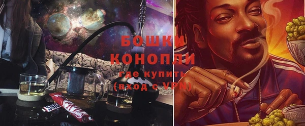 прущие грибы Беломорск