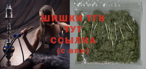 прущие грибы Беломорск