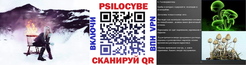 Галлюциногенные грибы MAGIC MUSHROOMS  Велиж 